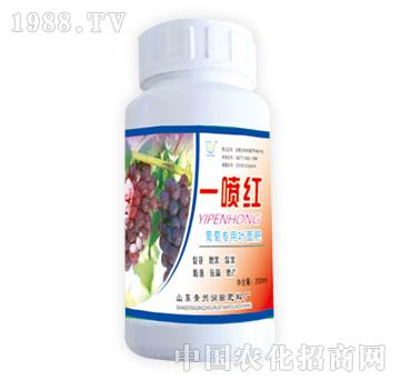 ����-һ���t