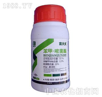 �����׾���-����-�̩