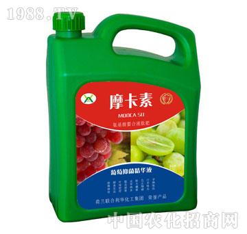 �����־����AҺ-Ħ����-��о���H