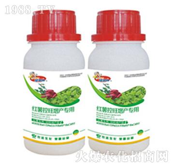 �t���������a(ch��n)����-�r(n��ng)�_����