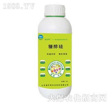 �Ǵ���-������-������