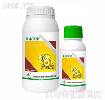 10.8%��Ч�����׺��`-ʥ�S피�-�h(yu��n)Ҋ(ji��n)�r(n��ng)�I(y��)