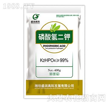 �������-ʢ���߿�