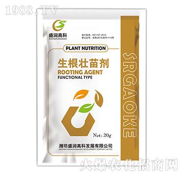 �������焩-ʢ��(r��n)�߿�