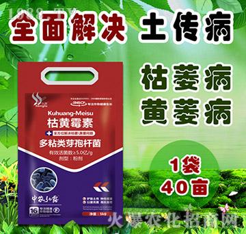 ��ճ�ѿ�ߗU��-���Sù��-���r��¶