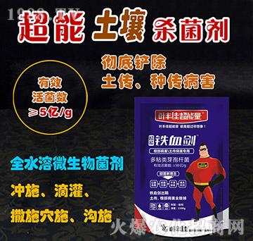 ����������������������-�FѪ��-�~�S�ѳ�����