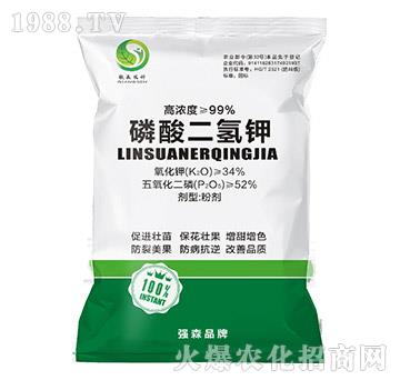 ��������-��(qi��ng)ɭ�r(n��ng)��