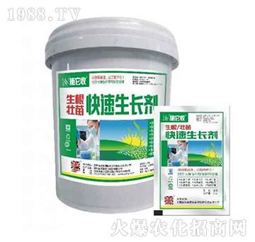 ����������������L��-ʩ����-�W��ɭ