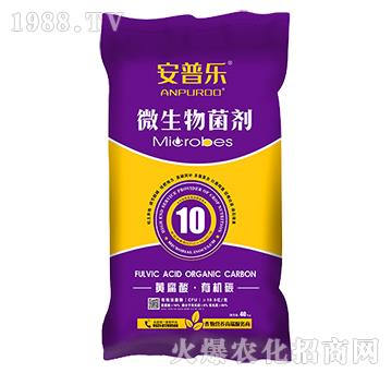 10�|ÿ���S�����ЙC(j��)̼΢�������-���՘�(l��)-�f(w��n)�����B(t��i)