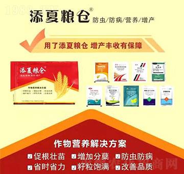 ����I(y��ng)�B(y��ng)��Q����-���ļZ�}(c��ng)-�S�՘�