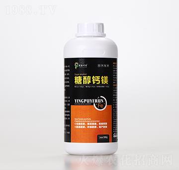 �Ǵ��}�V-Ӣ���~��(r��n)