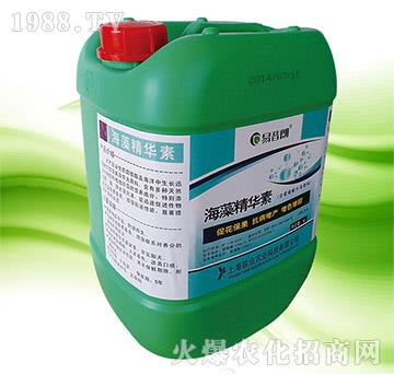 ���徫�A��-(li��n)�I(y��)�r(n��ng)�I(y��)