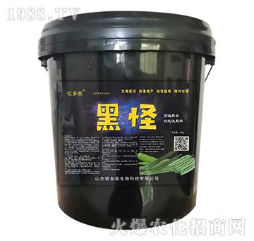 �ڹ�-������