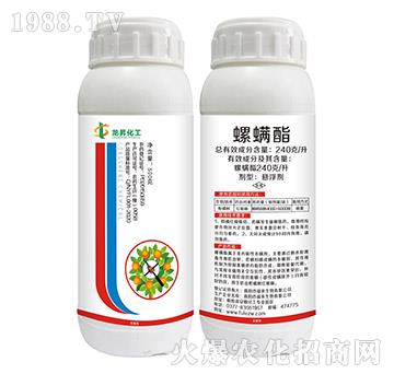 240��ÿ��������-���N����