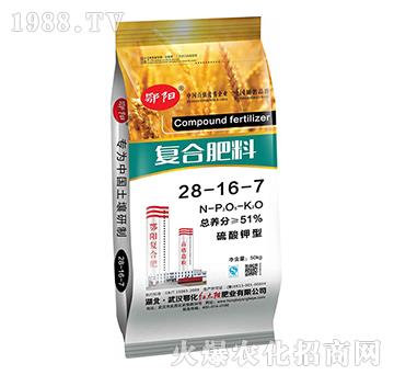 ������͏�(f��)�Ϸ���28-16-7-���