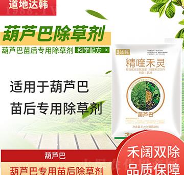 ���J�ͳ��݄�-���J�����-���J�͌���-���n