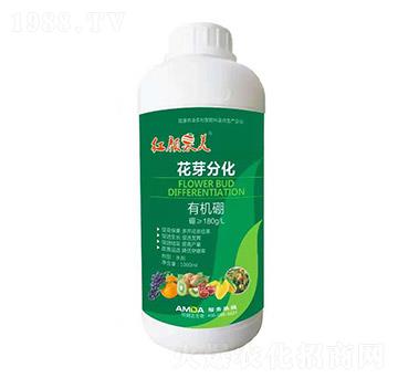 �ЙC(j��)��-�t���-��ķ�_(d��)