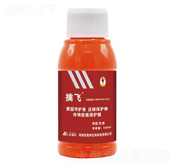 ���w��B��-������