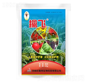 ���w��B�ۄ�-������