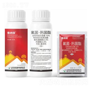 43%�������۾����Ҹ���-���{�-�|�h(yu��n)����