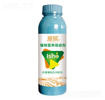 ֲ��I�B(y��ng)���M��-�۴T-���A�r�I(y��)