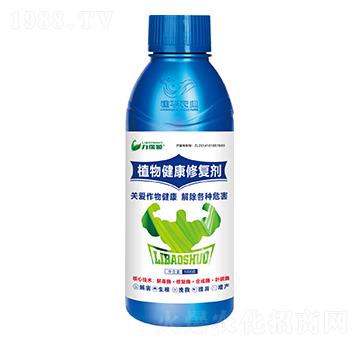 ֲ�｡���ޏ̈́�-�����T-���A�r�I(y��)