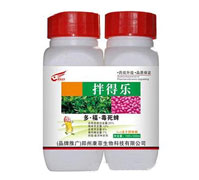 25%�ࡤ����������