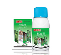 ���s�ѵ����`