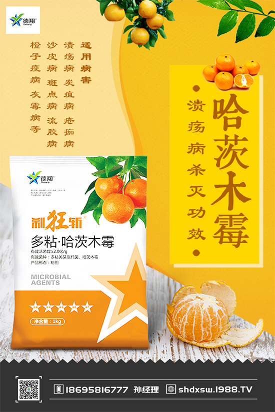 甘藍(lán)黑斑病危害這么大，到底該如何防治？快來看看吧！