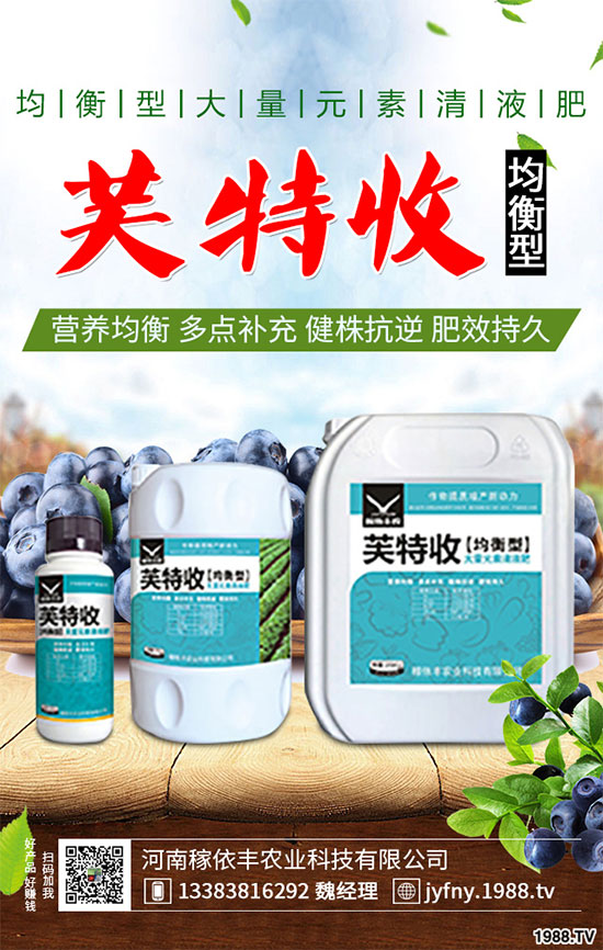 陽(yáng)臺(tái)上能種植上海青嗎?該注意什么?陽(yáng)臺(tái)上種植上海青的注意事項(xiàng)