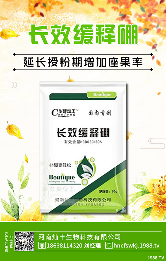 金錢草和銅錢草有什么不同？金錢草和銅錢草的區(qū)別哪些？