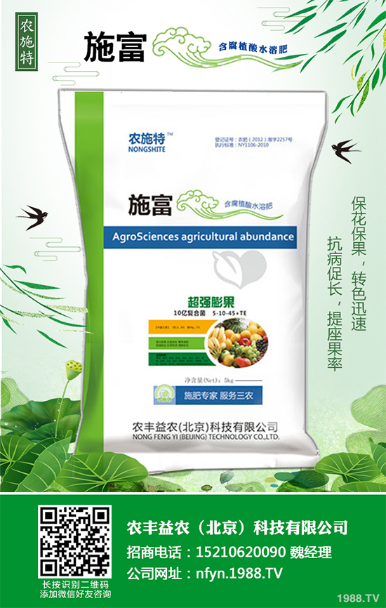 香蔥該如何栽培?秋茬香蔥高產(chǎn)技術要點