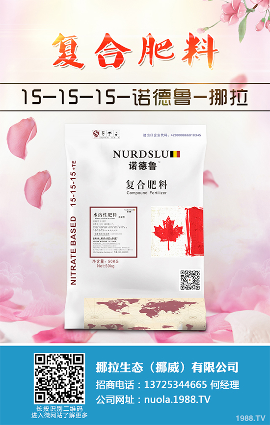 香蔥該如何栽培?秋茬香蔥高產(chǎn)技術要點