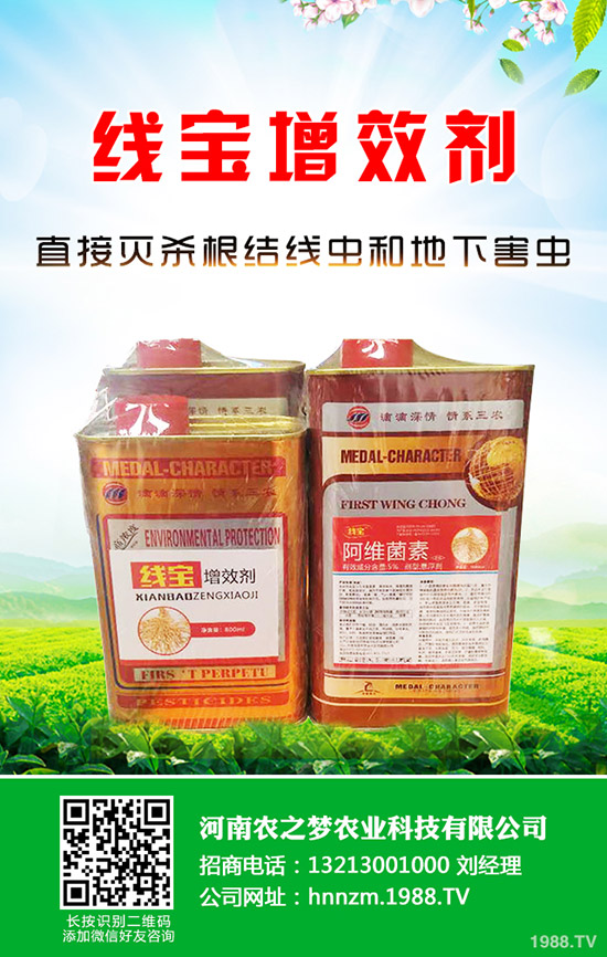 芹菜發(fā)芽慢如何解決？芹菜的催芽小技巧！