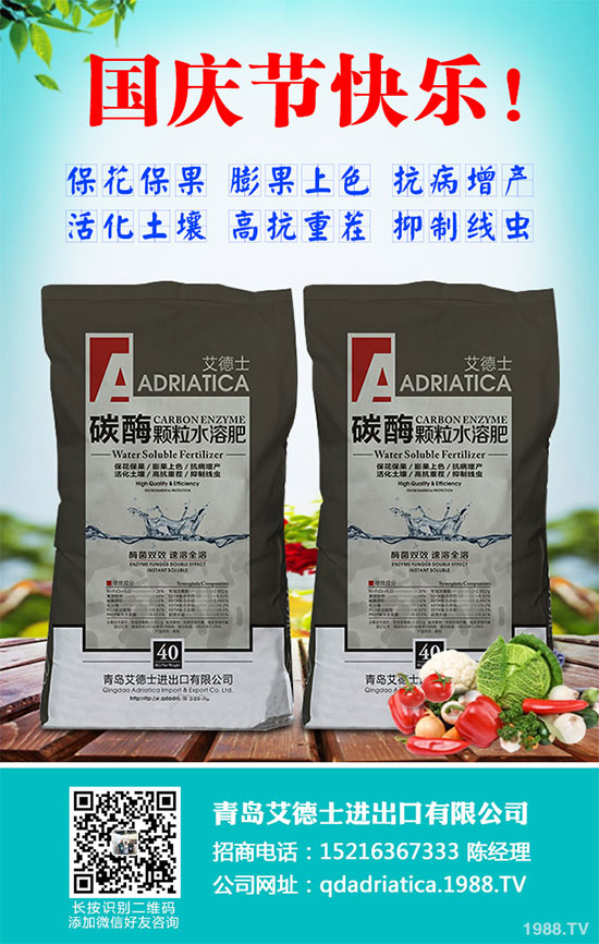 香蔥連作危害大，到底該如何解決？香蔥連作障礙及高產(chǎn)管理技術(shù)！