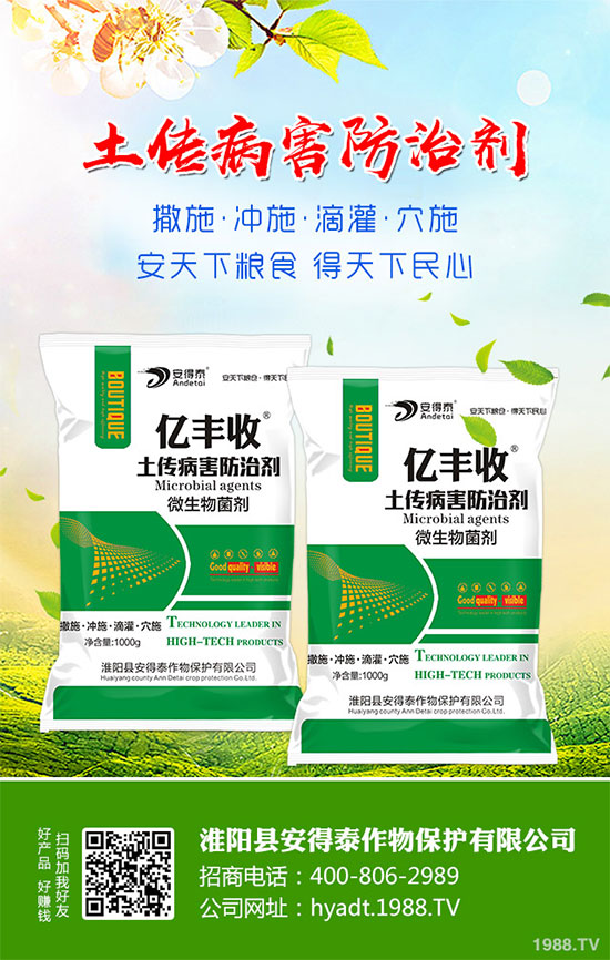 白蘿卜的功效與作用，白蘿卜營(yíng)養(yǎng)價(jià)值！