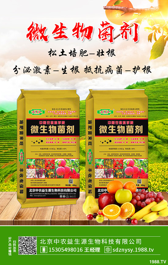     荷蘭豆秋季能種植么？畝產(chǎn)利潤如何？荷蘭豆種植管理技術(shù)！