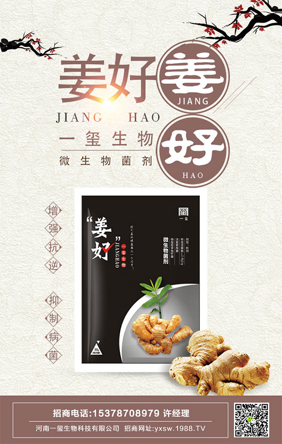 茄子的功效與作用，茄子的營養(yǎng)價值