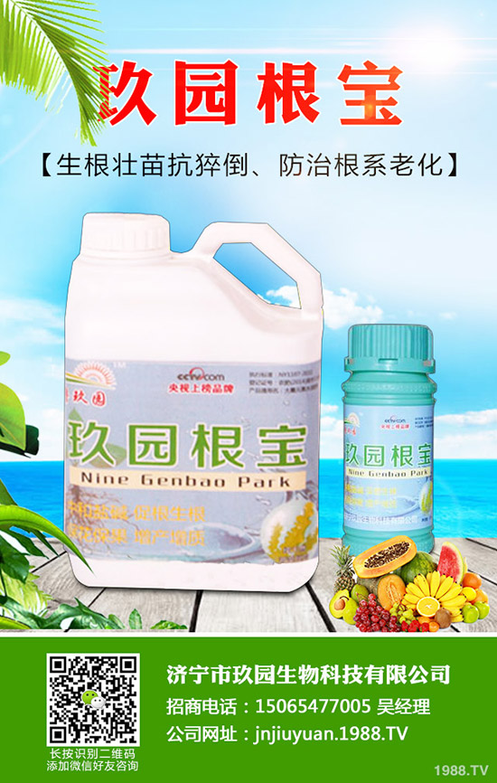 菠菜蚜蟲如何防？菠菜蚜蟲的危害及發(fā)生規(guī)律！