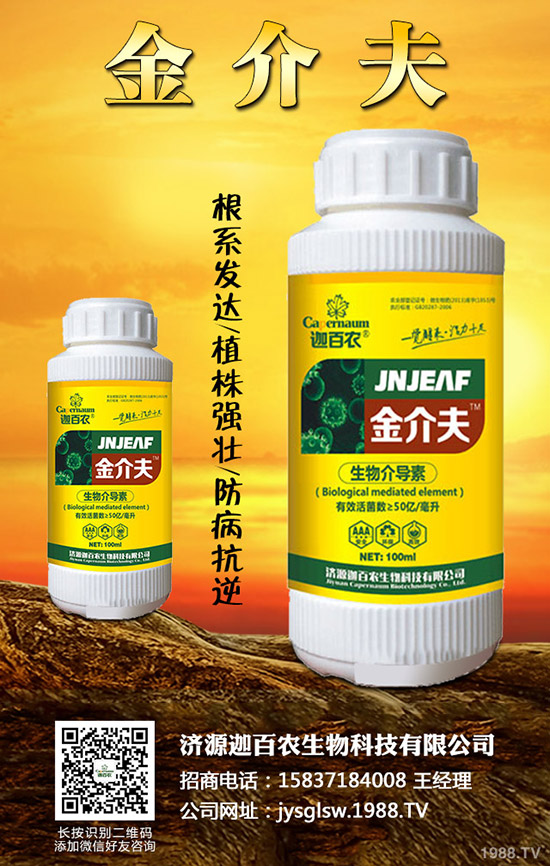 ���������o��������ô�k�������o���������\���c������