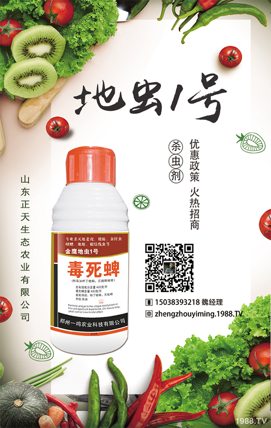 櫻桃蘿卜如何種植，櫻桃蘿卜需要注意什么？