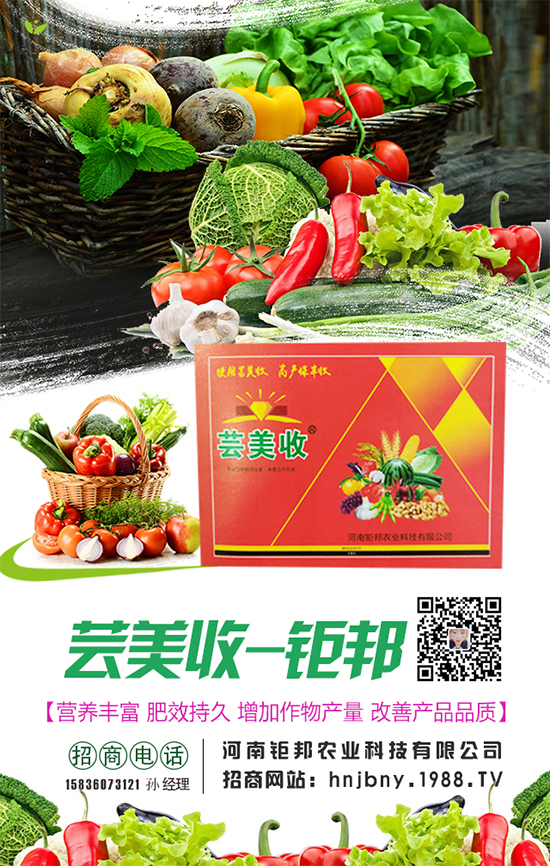 櫻桃蘿卜生長對環(huán)境條件要求，櫻桃蘿卜怎么施肥？