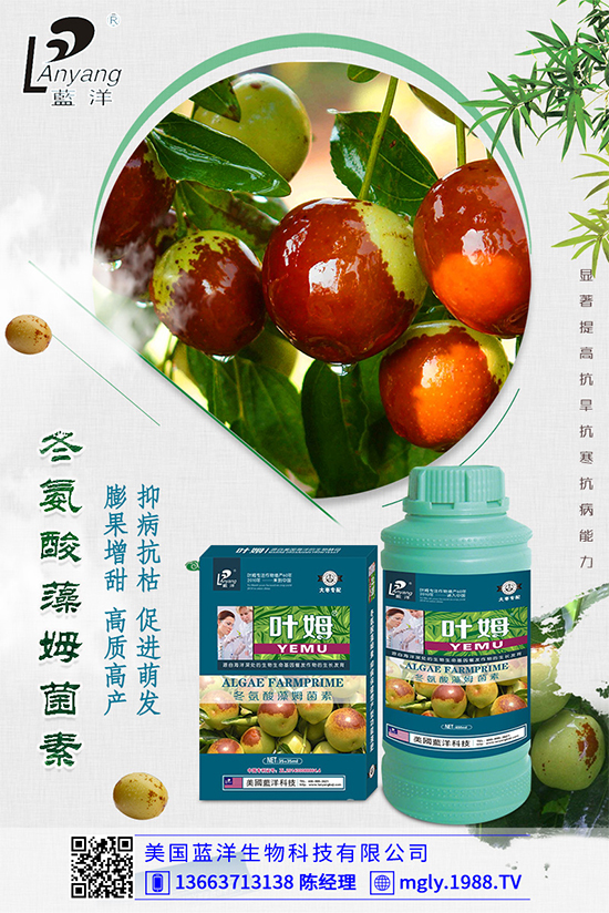 白菜軟腐病是如何引起的？有哪些危害？白菜軟腐病的發(fā)生與防治