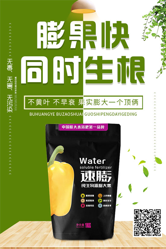 白菜霜霉病是如何引起的？有哪些危害？白菜霜霉病的預防措施