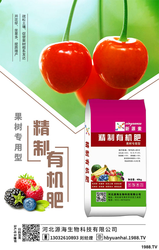 2020年香菇種植前景如何？2020年香菇種植賺錢嗎？