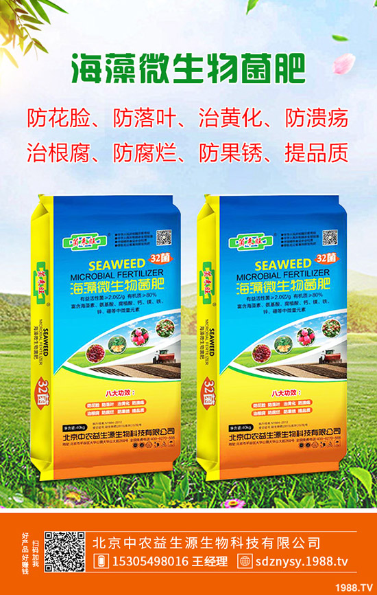     2019年10月24日今日最新復合肥價格快訊