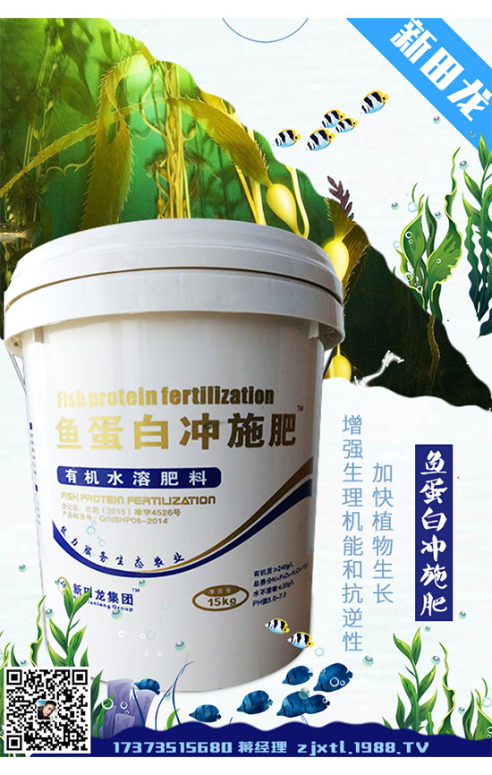 種植菠菜為什么出苗少？如何促進(jìn)菠菜發(fā)芽出苗？