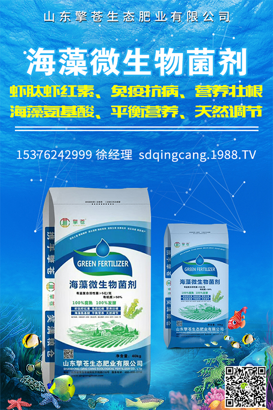 油麥菜霜霉病有哪些危害癥狀？有哪些表現(xiàn)？油麥菜霜霉病的防治措施