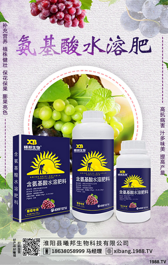 秋季蘿卜怎么種植，秋季蘿卜種植技術(shù)及栽培要點！