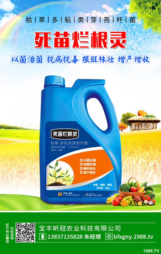 怎么種植羅漢果，羅漢果種植方法介紹！